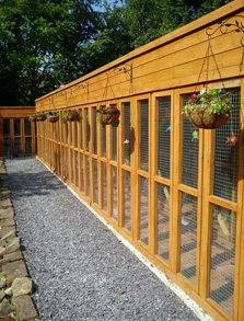 cattery wirral