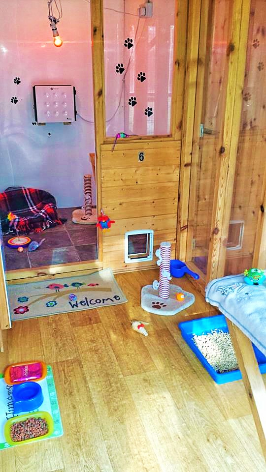 cattery